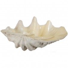 A&B Home Large Clam Shell Accent, Natural   566598813